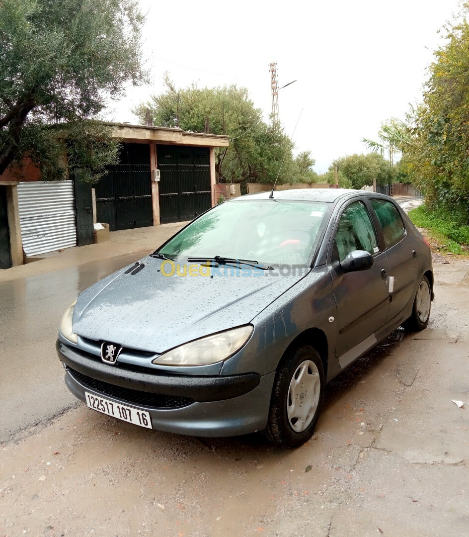 Peugeot 206 2007 206