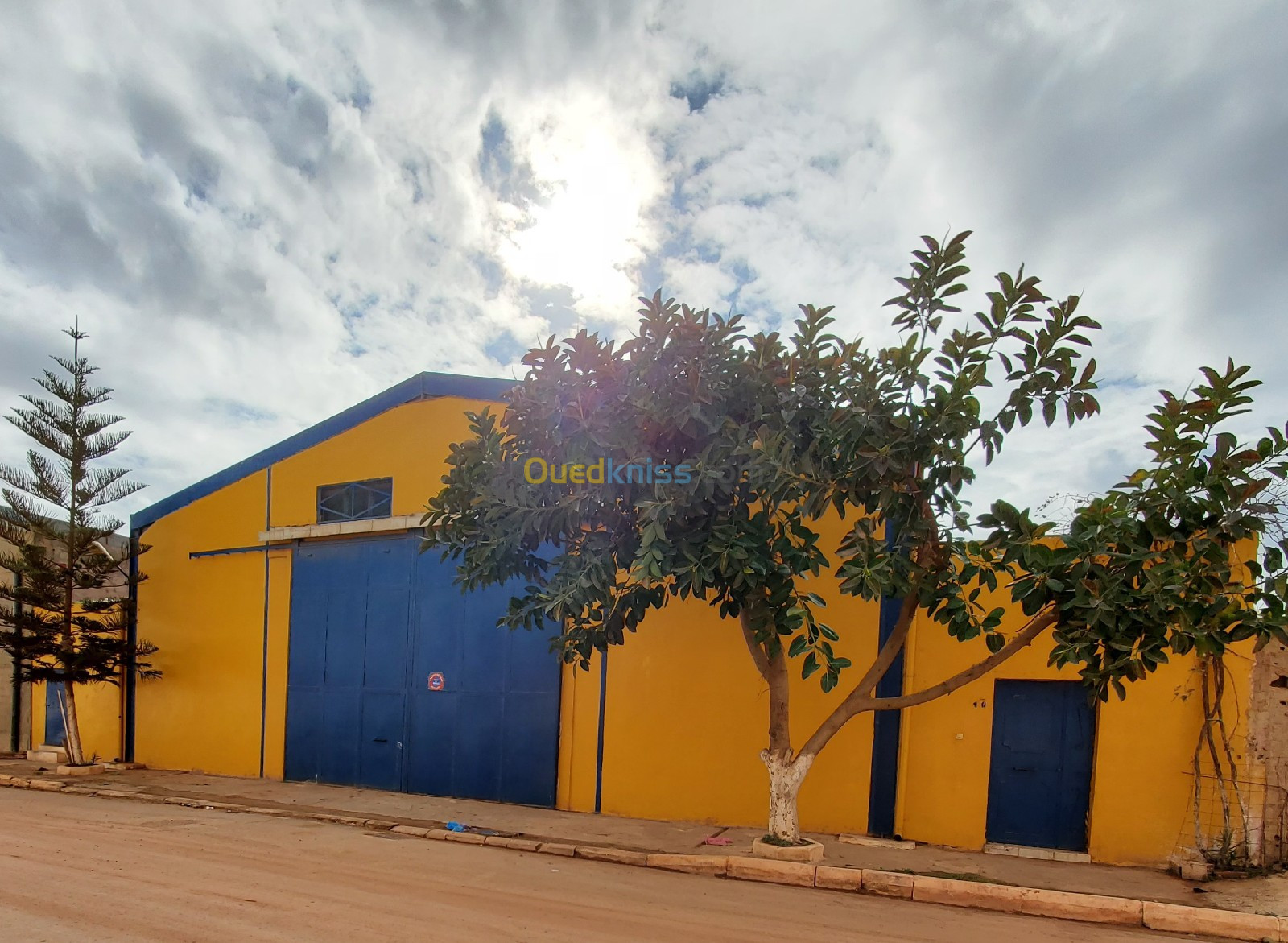 Location Hangar Oran Sidi chami