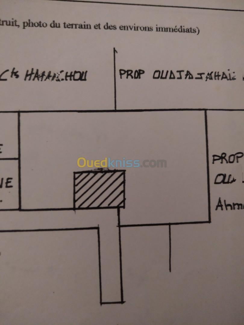 Vente Terrain Blida Ouled yaich
