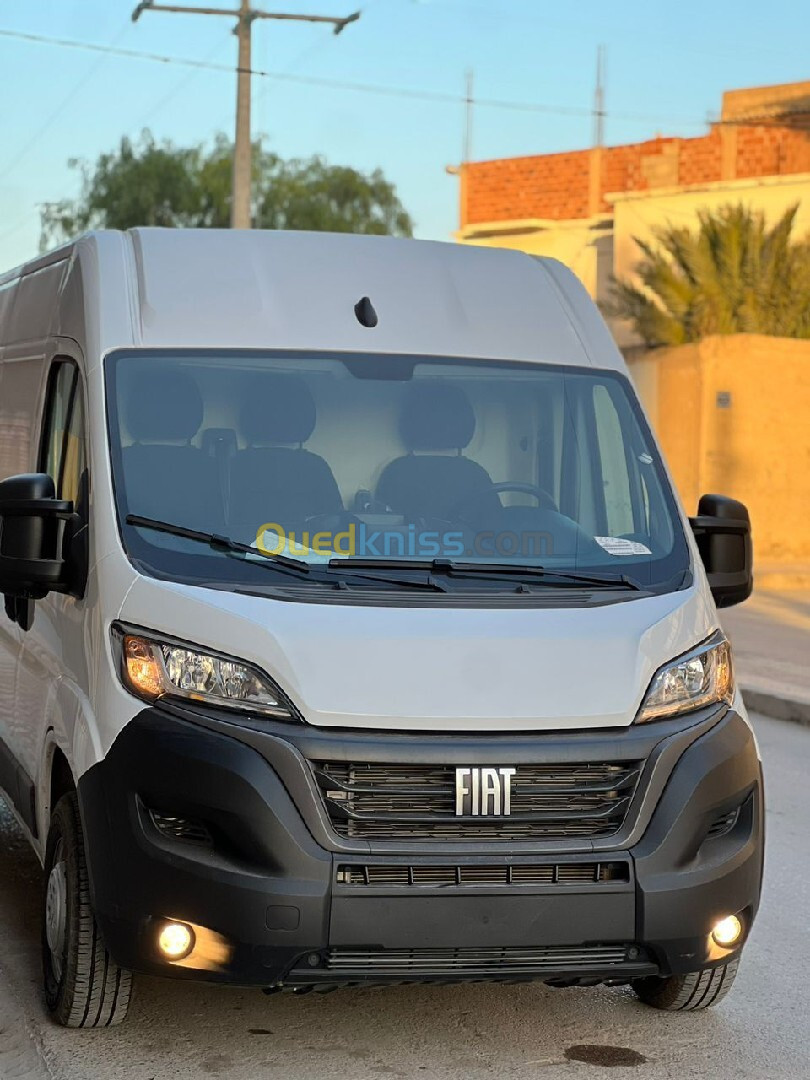 ducato 3pano Fiat 2024