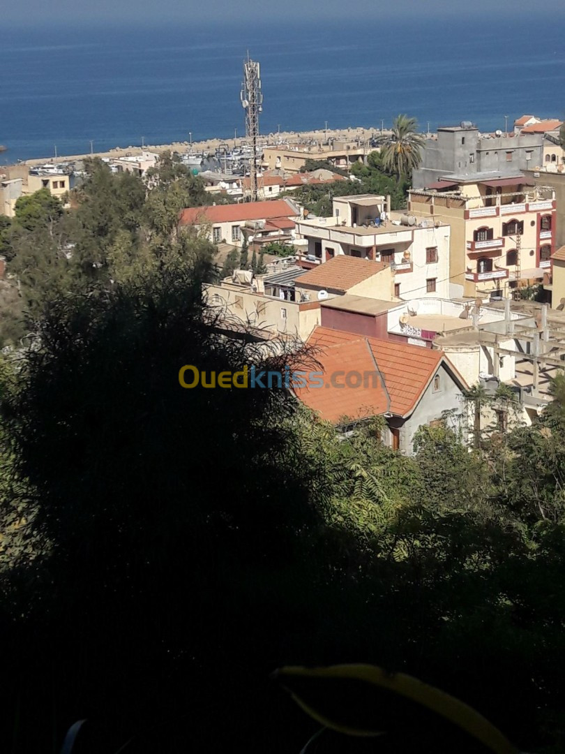 Location Appartement F4 Tipaza Bou haroun