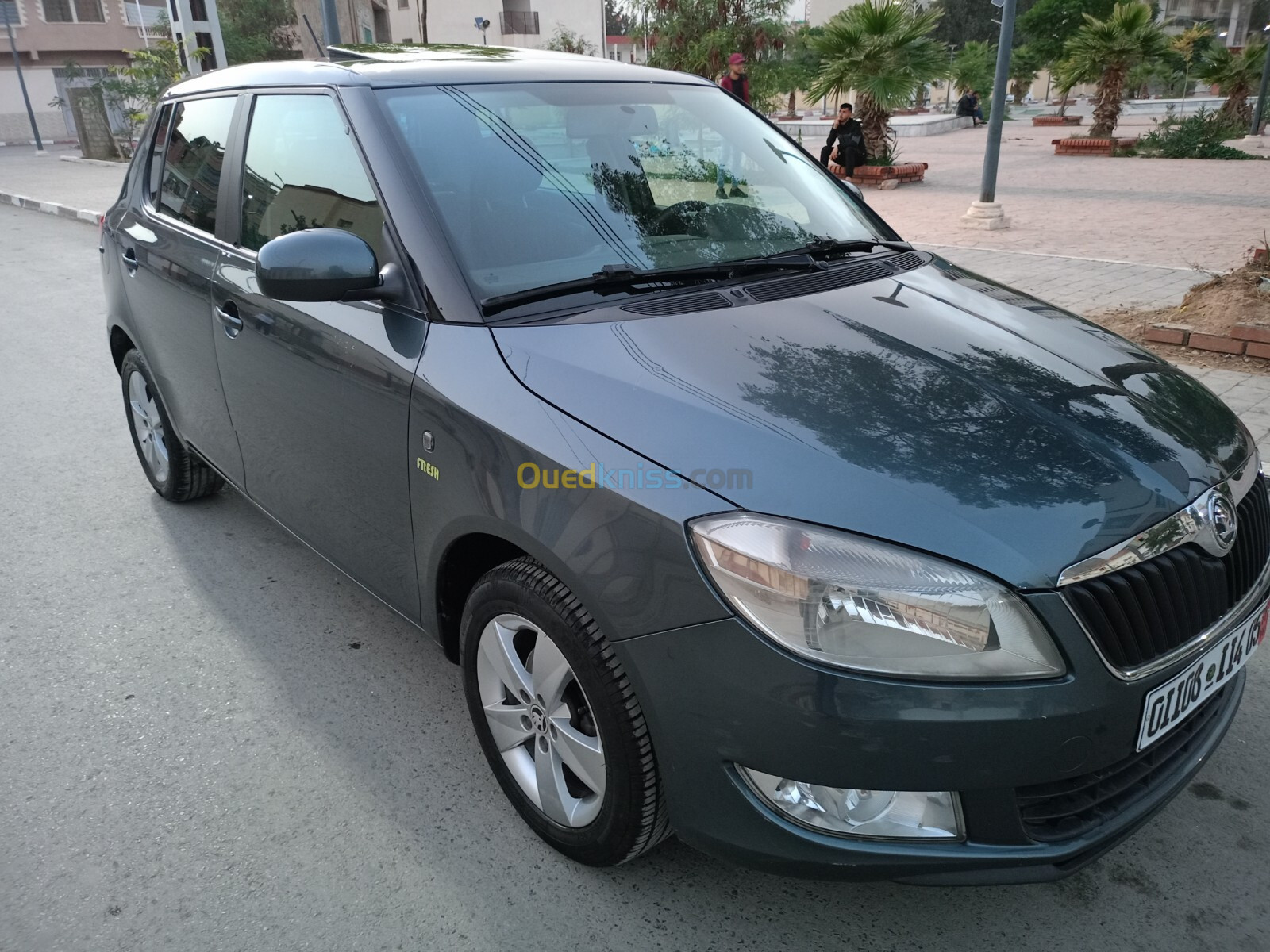 Skoda Fabia 2014 Fresh