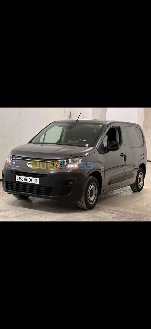 Fiat Professional Doblo 2024 Profisional