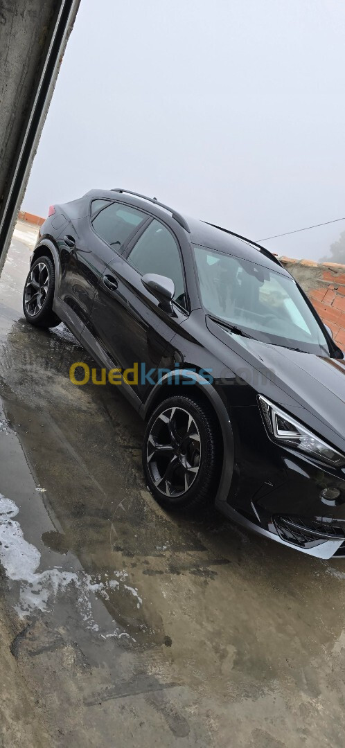 Seat cupra 2023 Cupra formentor