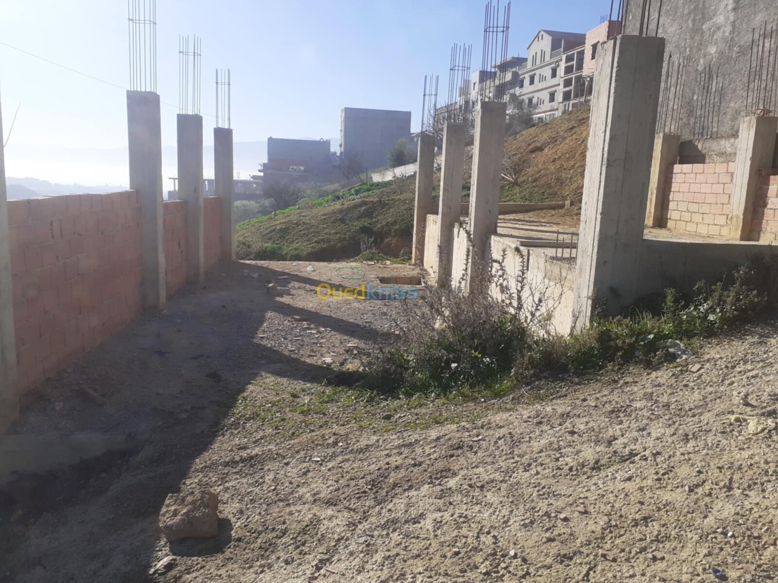 Vente Terrain Alger Douera