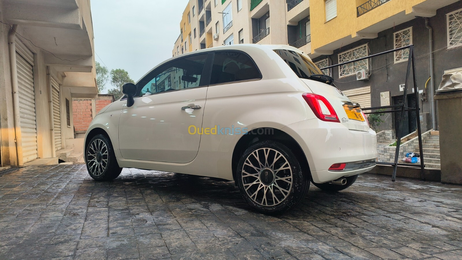 Fiat 500 2024 