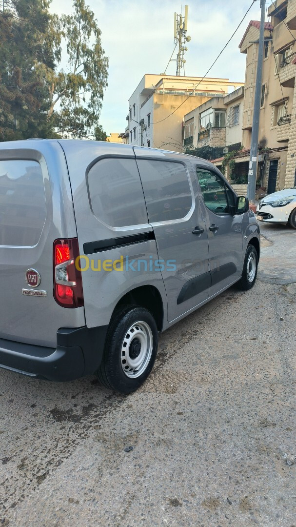 Fiat Doblo 2024 Profitional