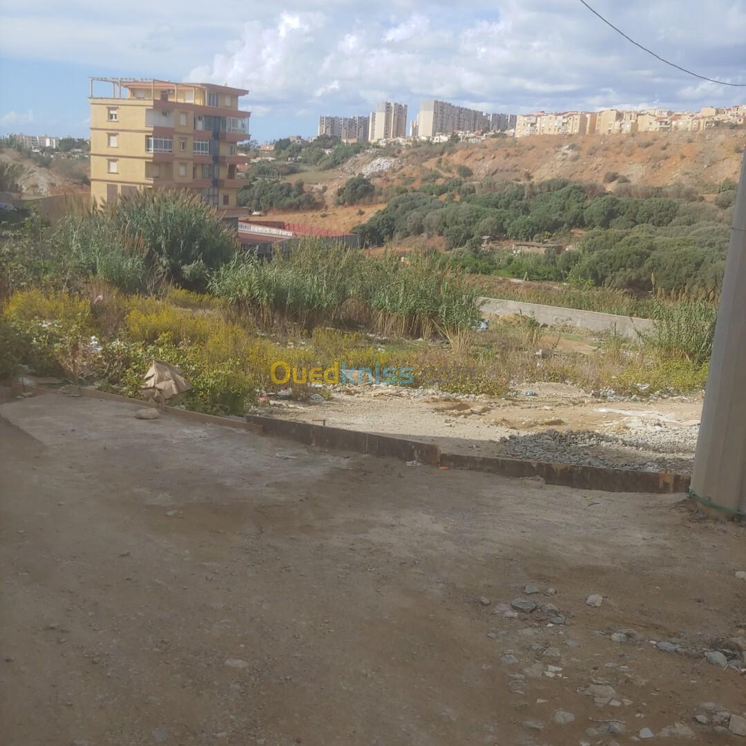 Vente Terrain Alger Cheraga