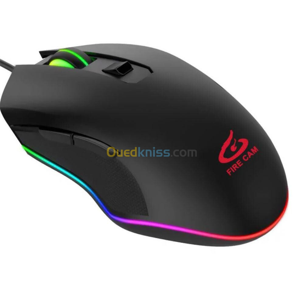 Souris gamer 