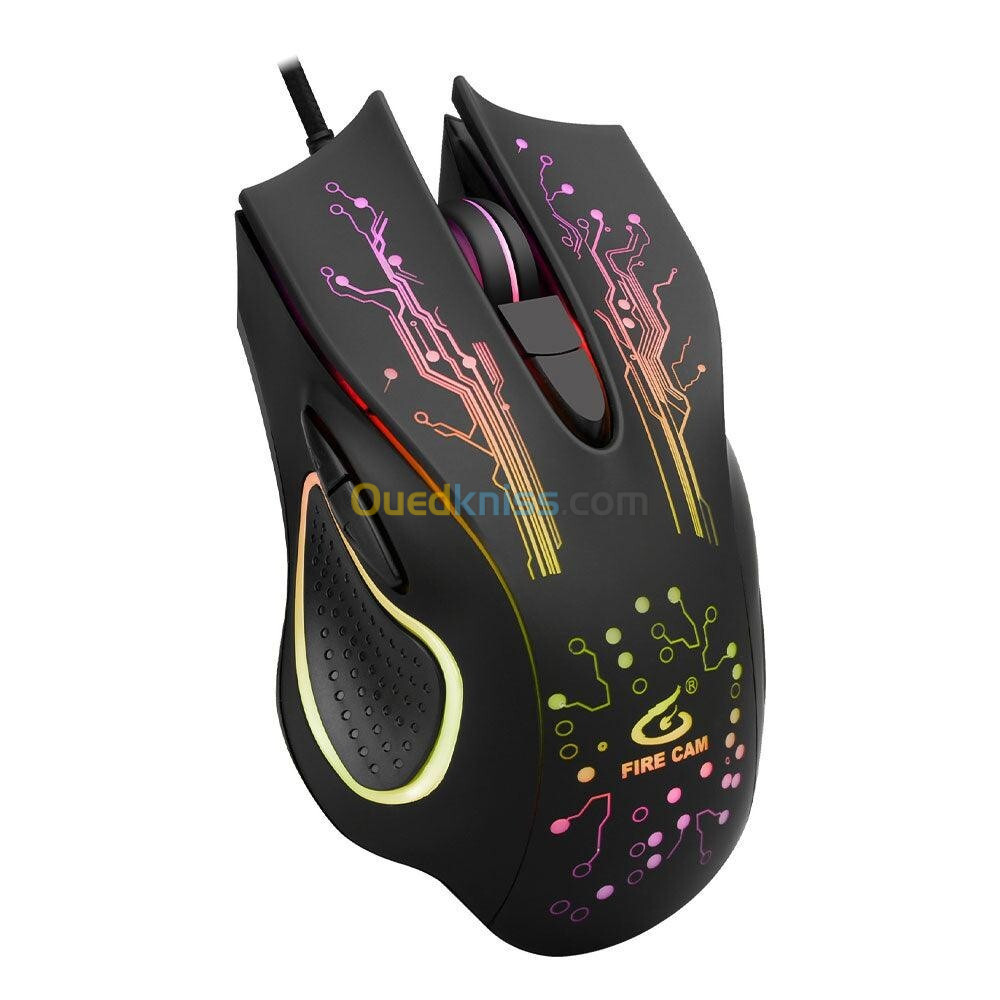 Souris gamer