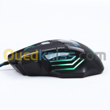 Souris gamer