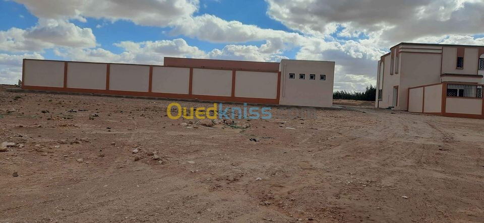 Vente Terrain Djelfa Hassi bahbah