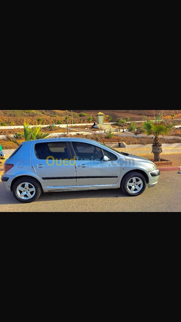 Peugeot 307 2002 XT