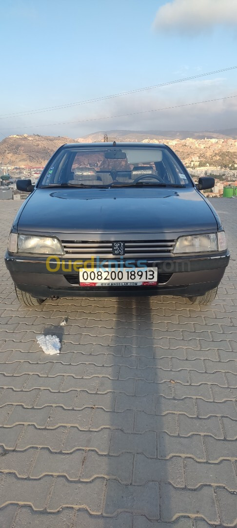 Peugeot 405 1989 405