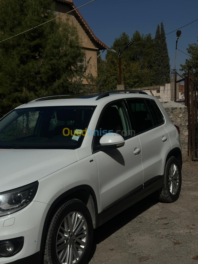 Volkswagen Tiguan 2014 cup