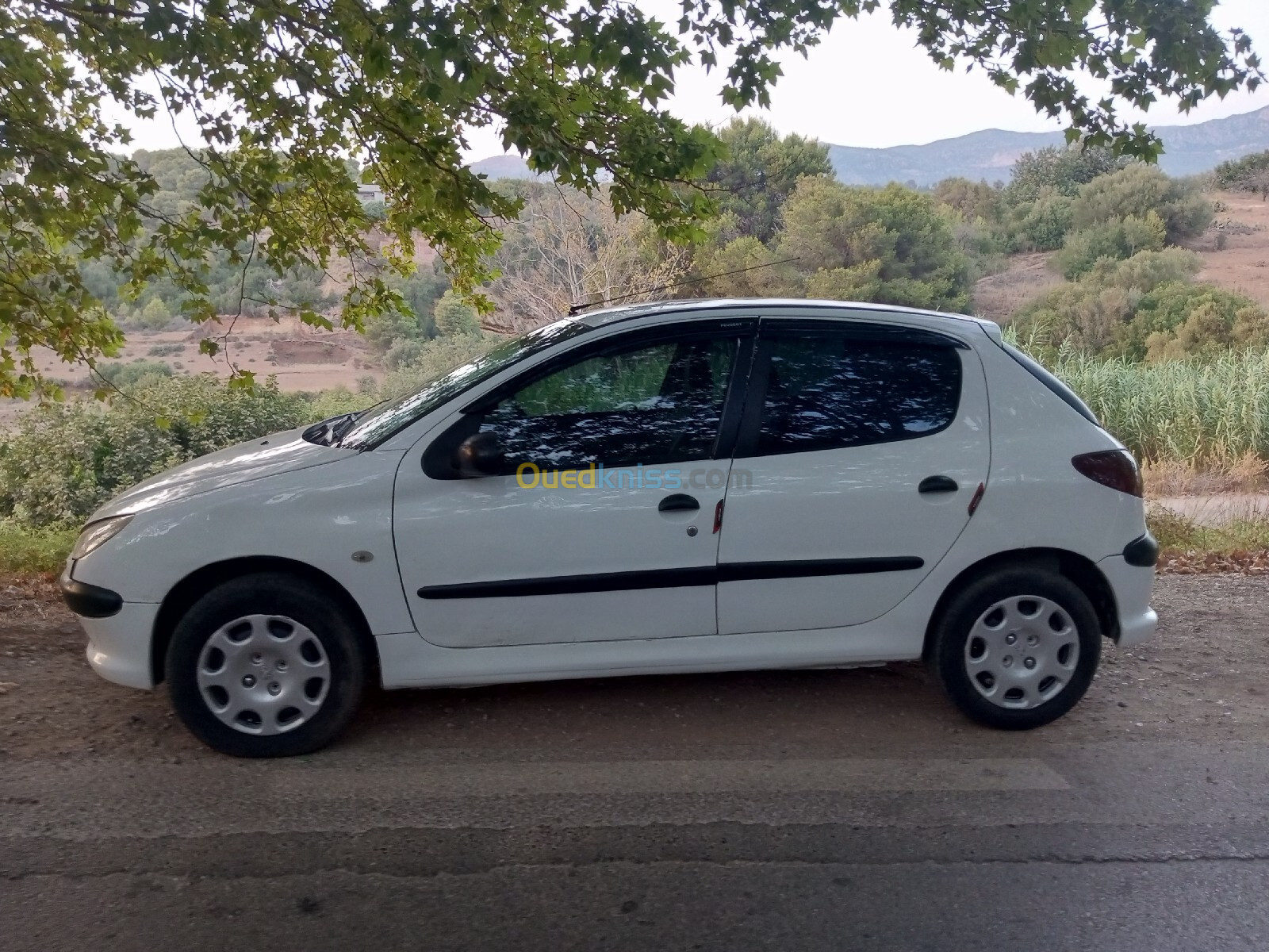 Peugeot 206 2005 206