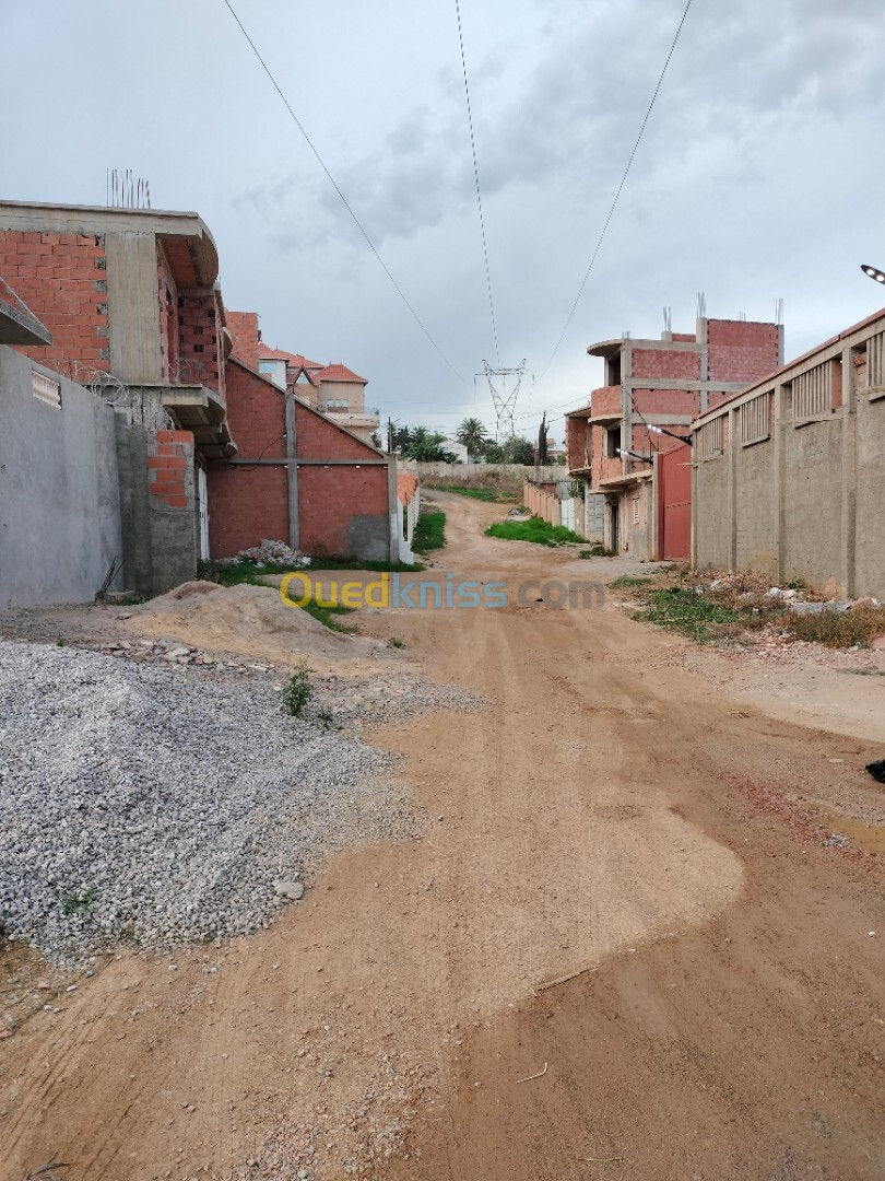 Vente Terrain Boumerdès Ouled moussa