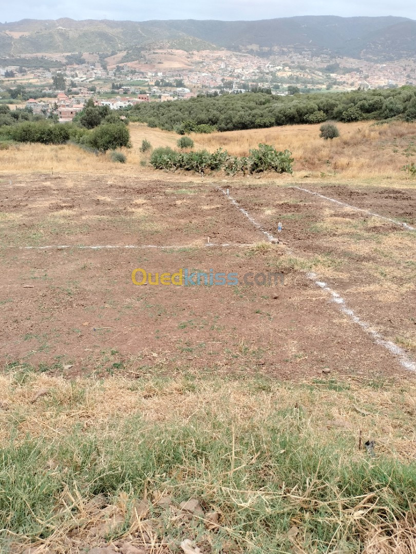 Vente Terrain Boumerdès Ouled moussa