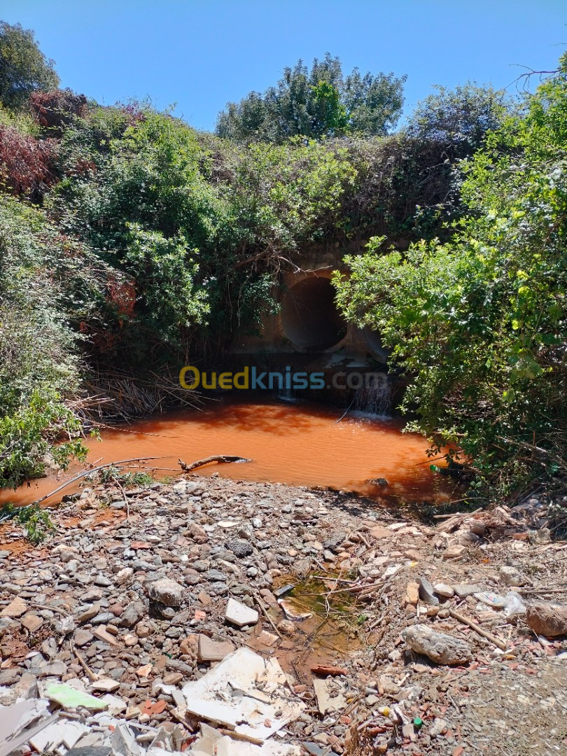 Vente Terrain Boumerdès Boudouaou