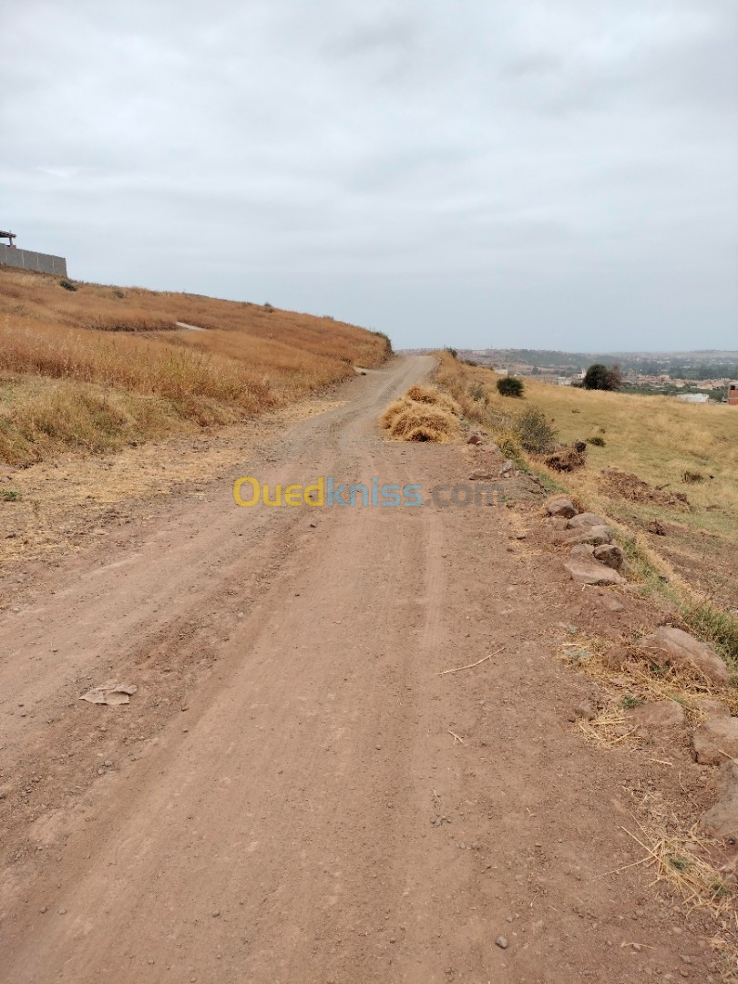 Vente Terrain Boumerdès Ouled moussa