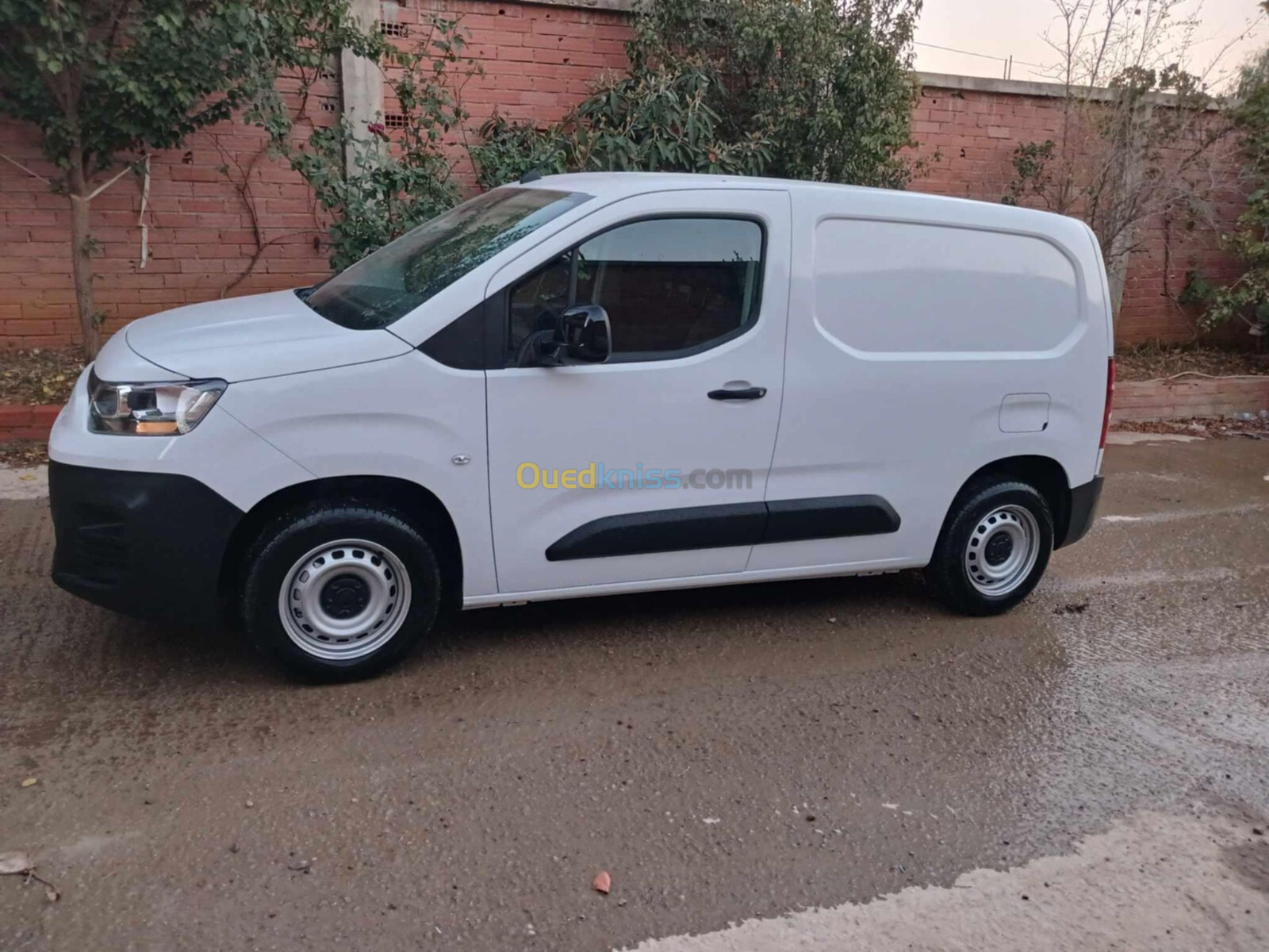 Fiat Doblo 2024 