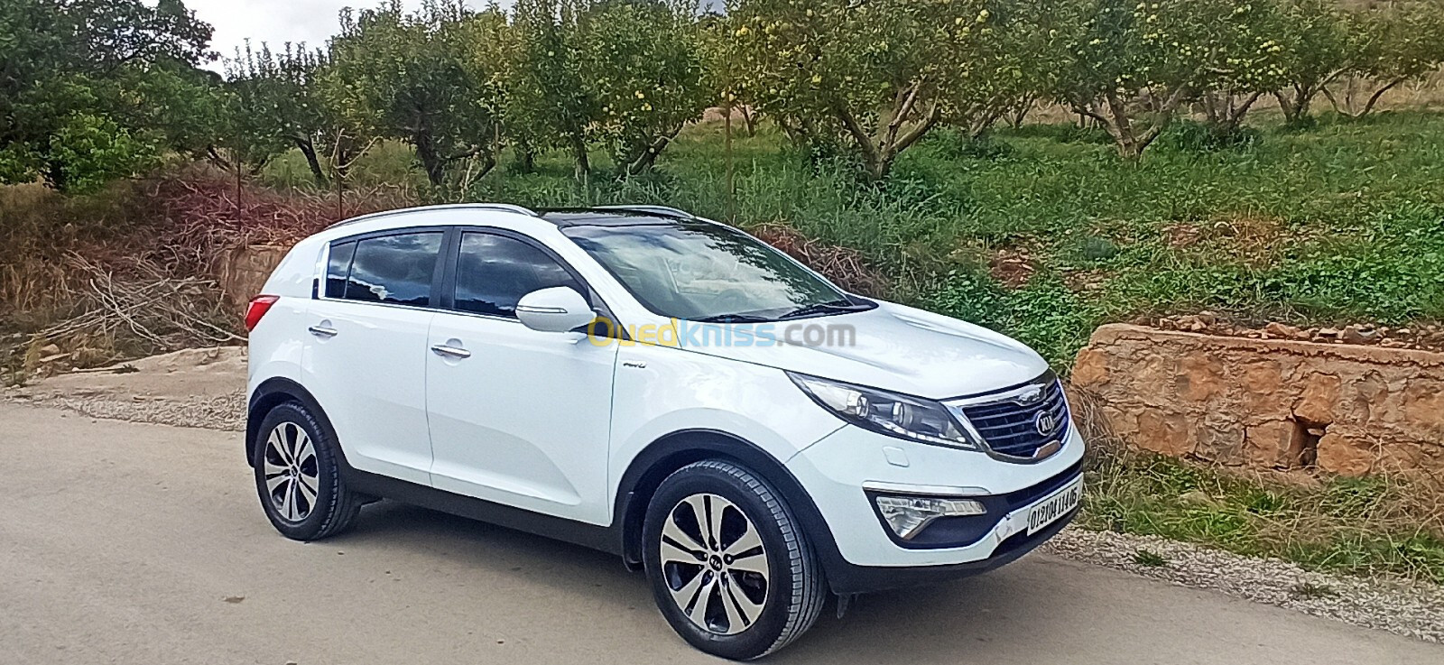 Kia Sportage 2014 Sportage