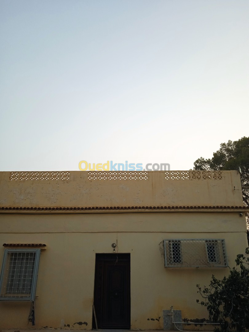 Vente bien immobilier Biskra Tolga