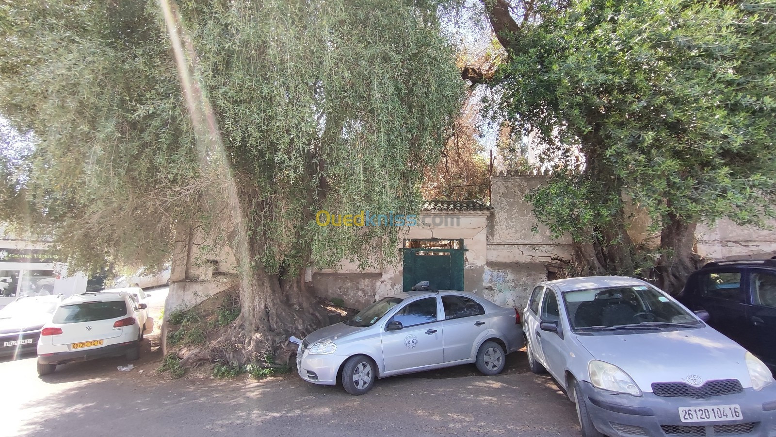 Vente Terrain Alger El biar