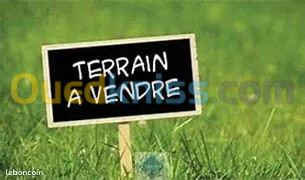 Vente Terrain Oran Bir el djir