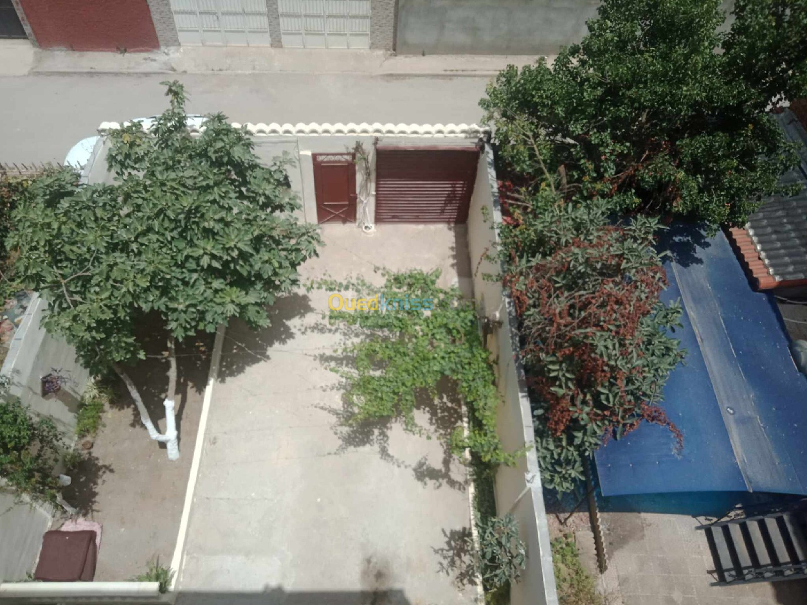 Vente Villa Alger Bordj el kiffan