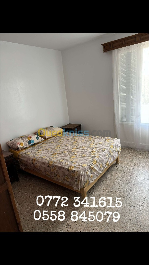 Location Appartement F3 Annaba Annaba