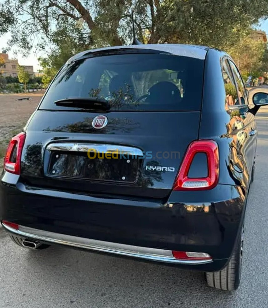 Fiat 500 2024 Detchi vita