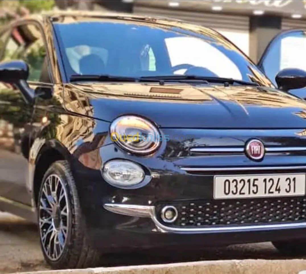 Fiat 500 2024 Detchi vita