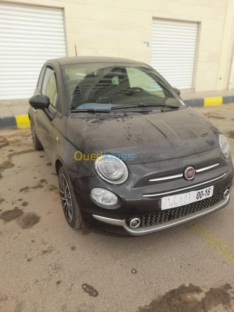 Fiat 500 2024 