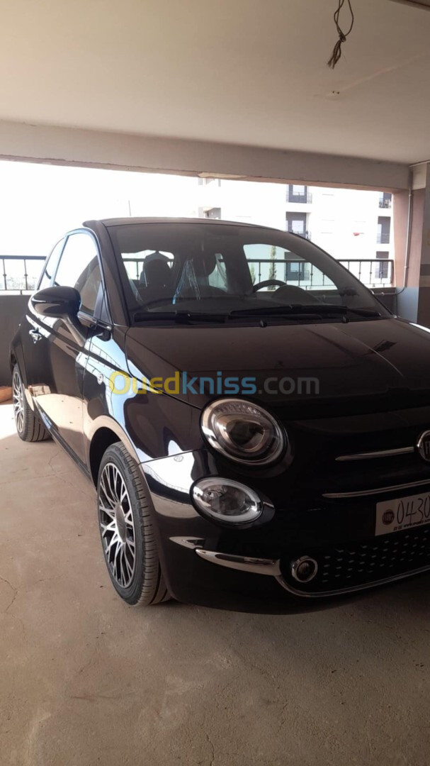 Fiat 500 2024 