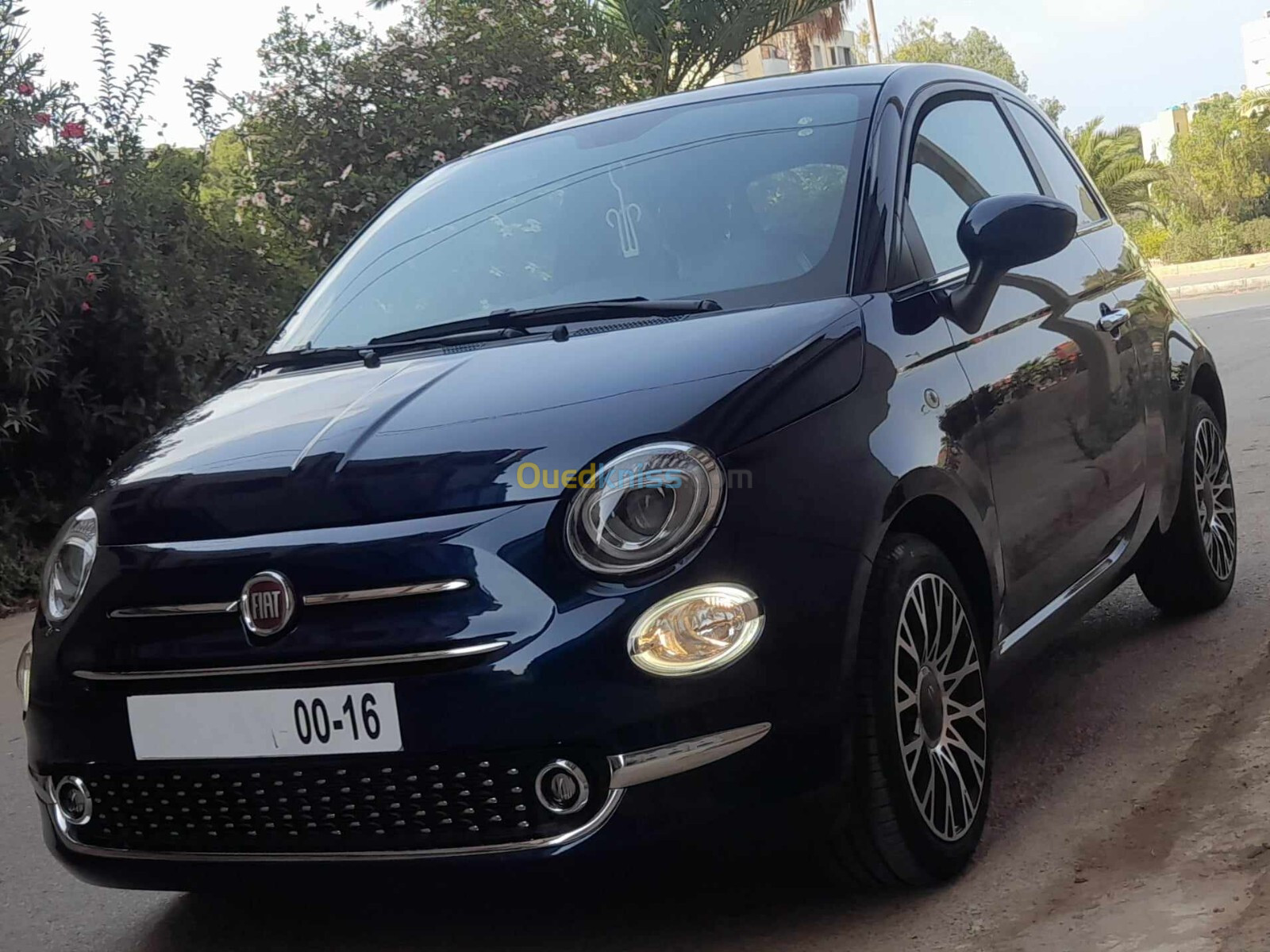 Fiat 500 2024 