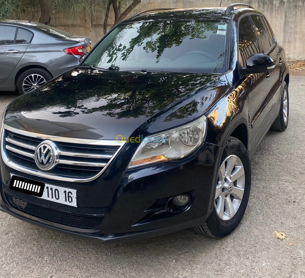 Volkswagen Tiguan 2010 TrendLine