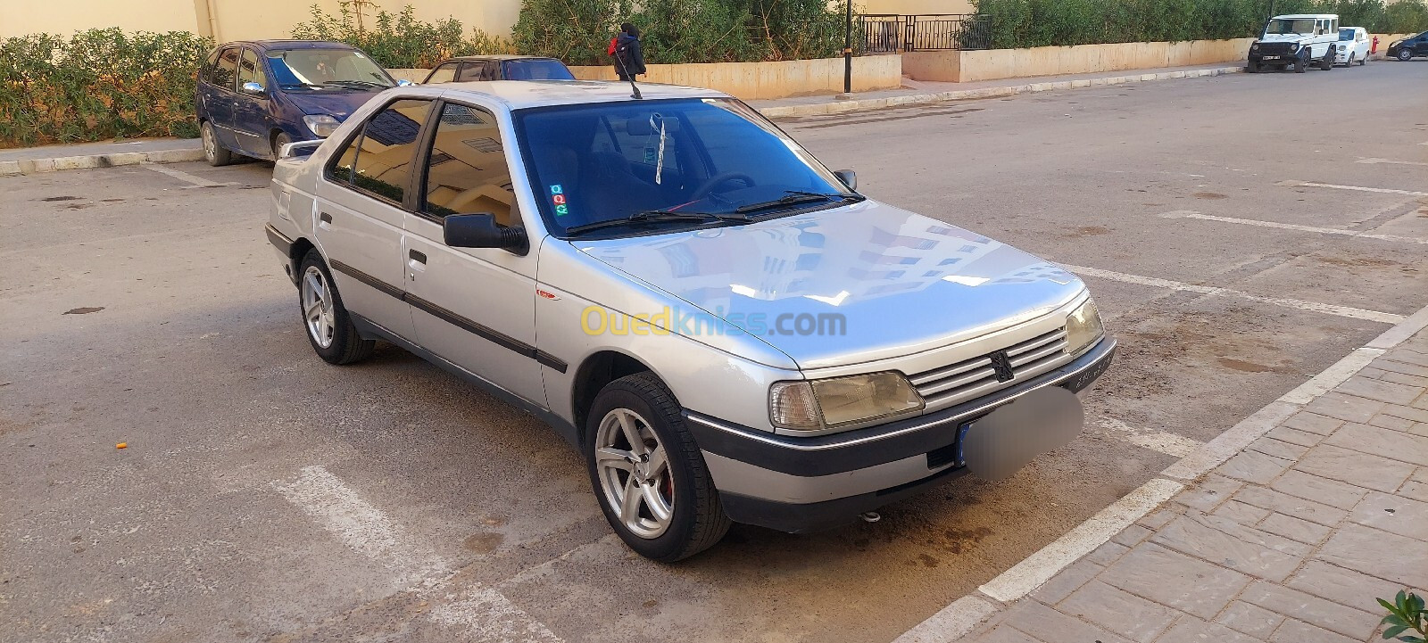 Peugeot 405 1991 405