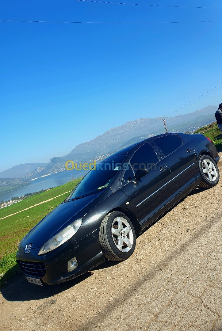 Peugeot 407 2005 407