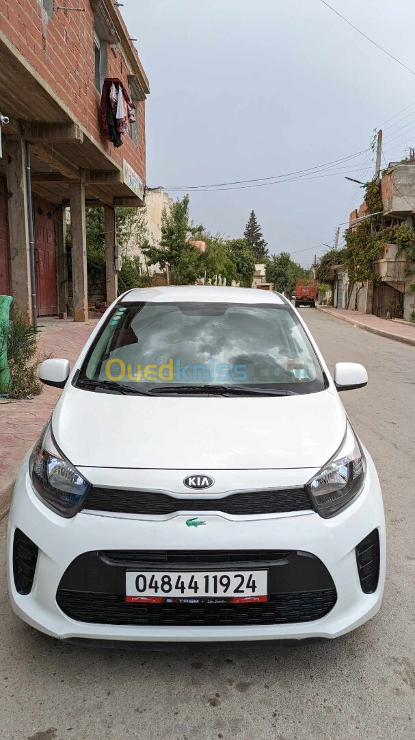 Kia Picanto 2019 LX Start