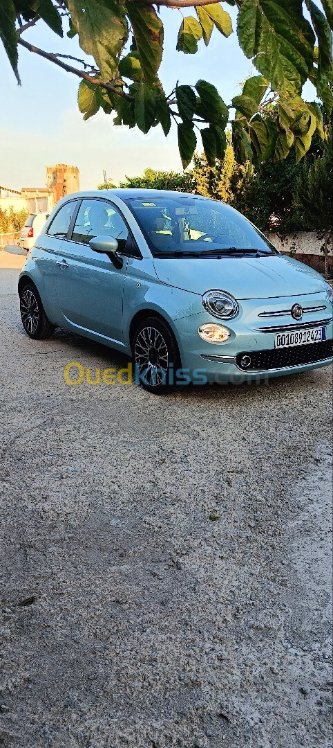 Fiat 500 2024 