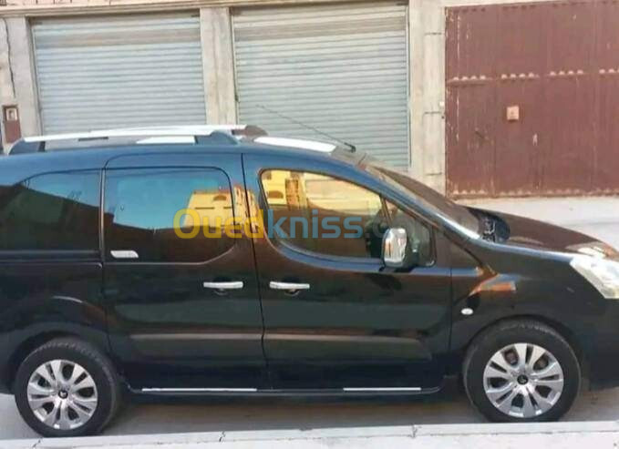 Citroen Berlingo 2010 XTR