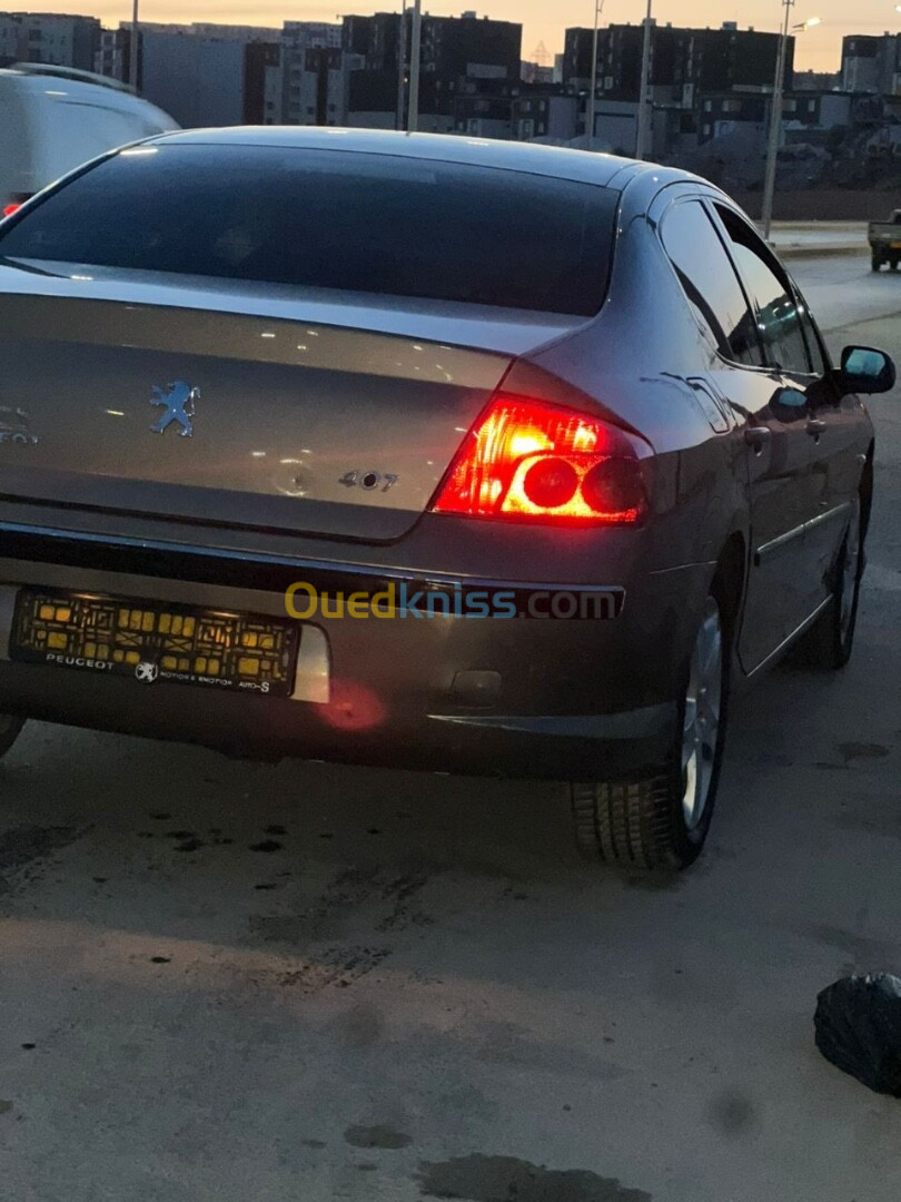 Peugeot 407 2005 407