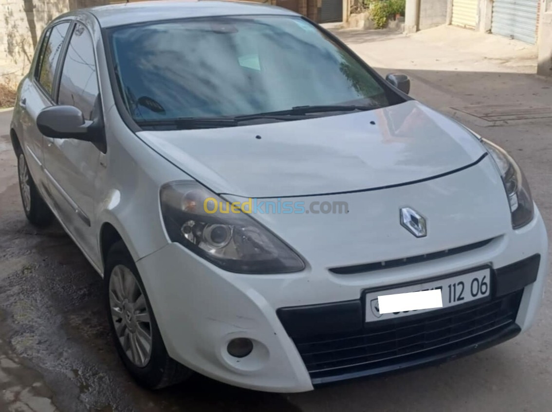 Renault Clio 3 2012 Night and Day