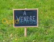 Vente Terrain Blida Meftah