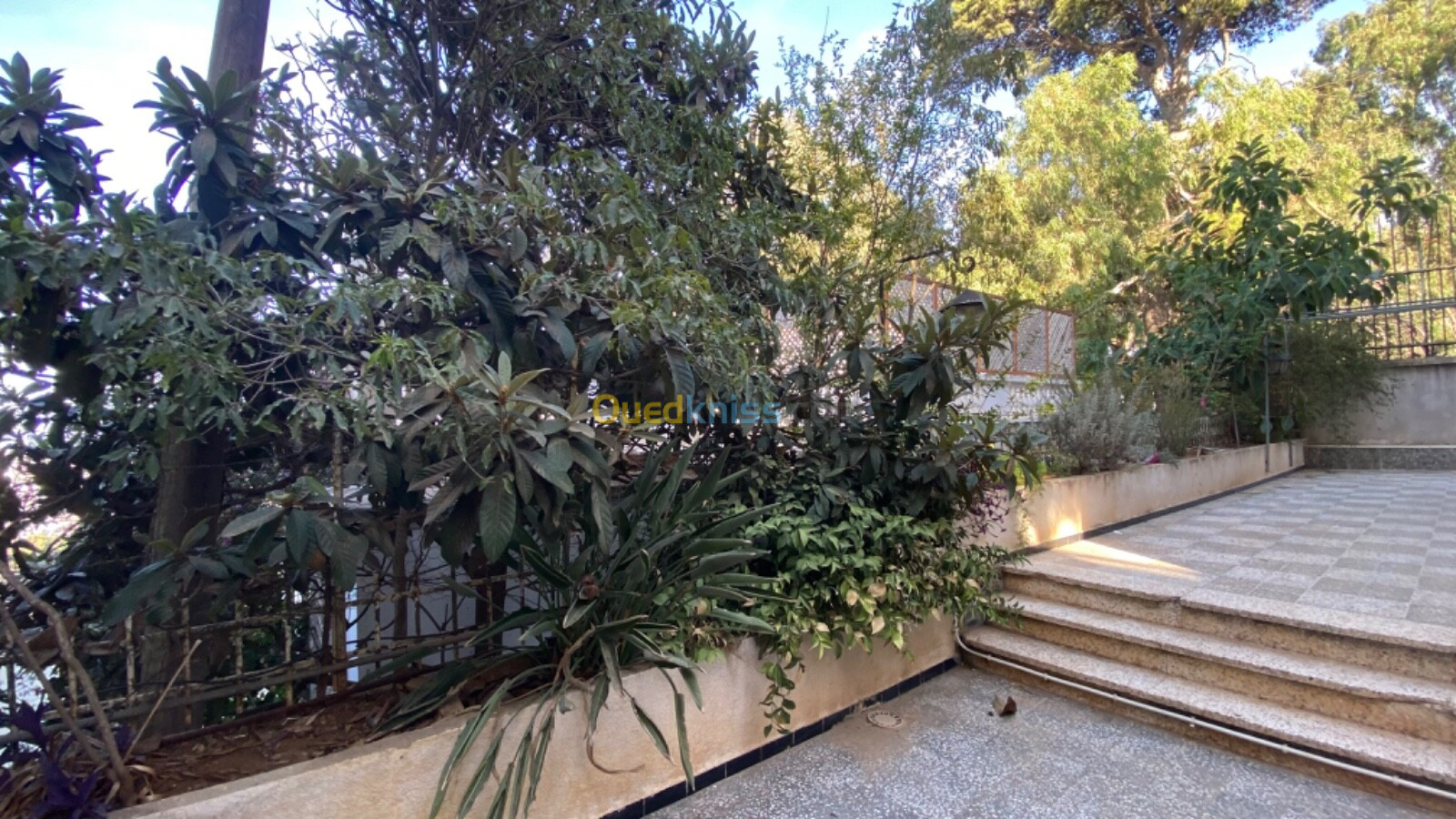 Location Villa Alger El mouradia