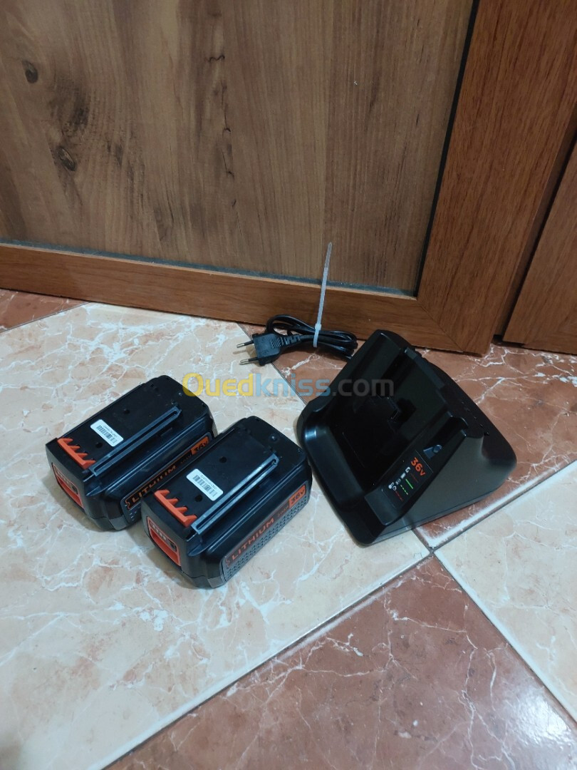 Chargeur + 2 Batteries Black&Decker 36v