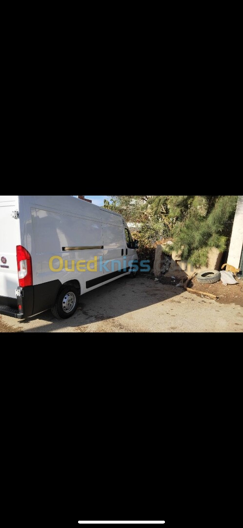 Fiat Ducato 3 panneaux 2023