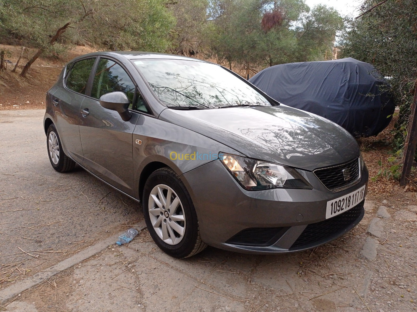 Seat Ibiza 2017 Sol