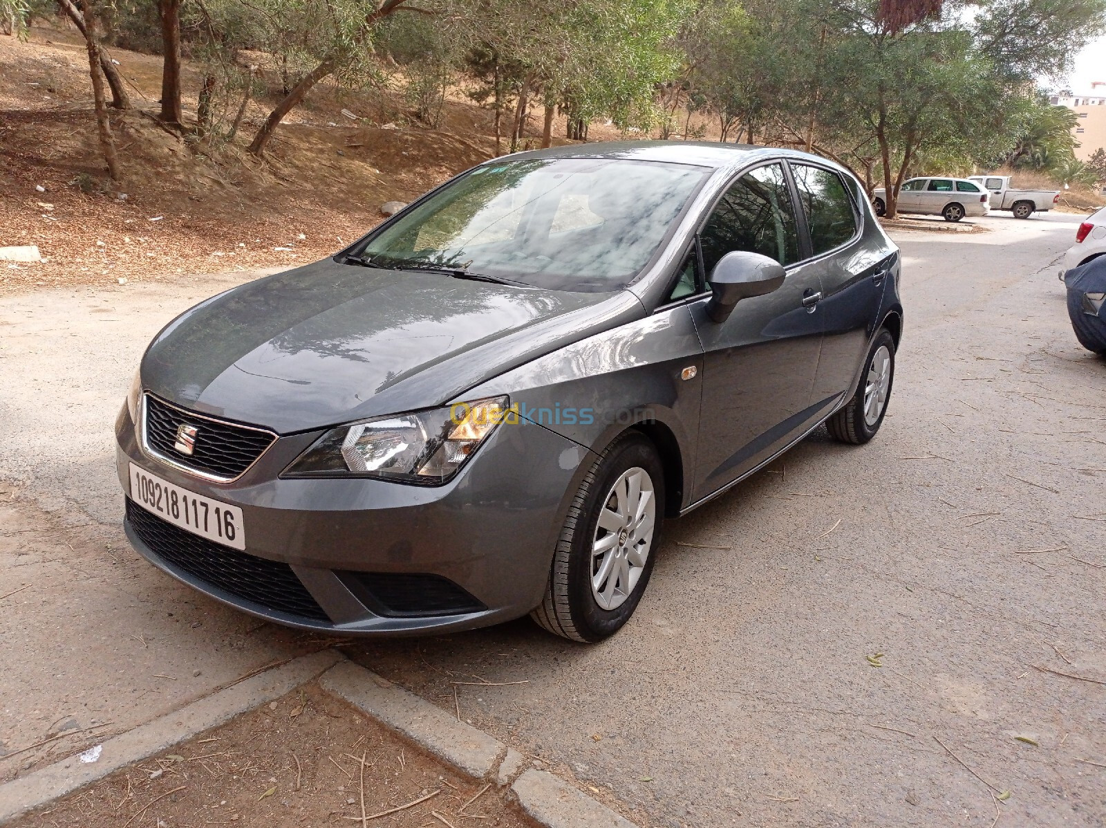 Seat Ibiza 2017 Sol